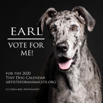 earl vote