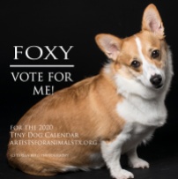foxy vote