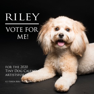Riley vote - Copy